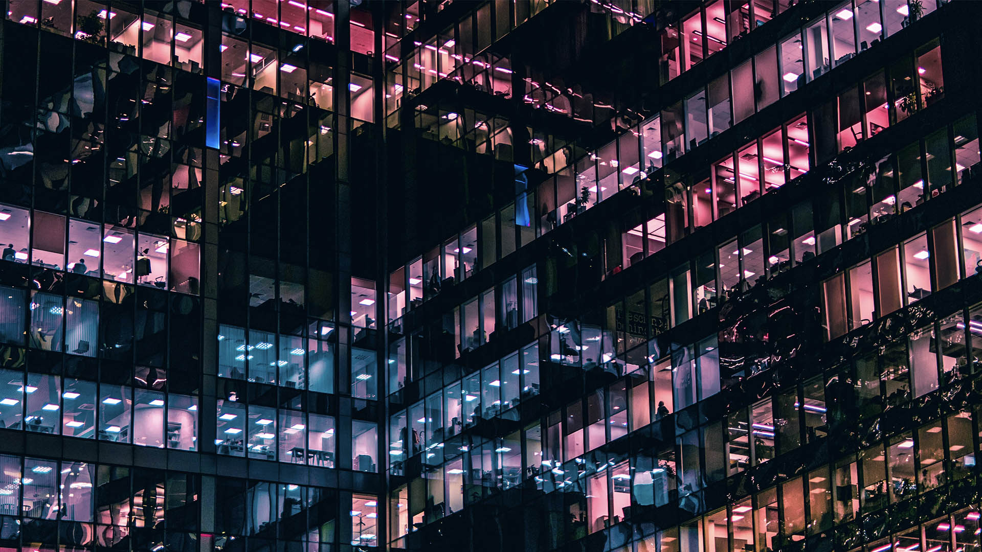 houston web design